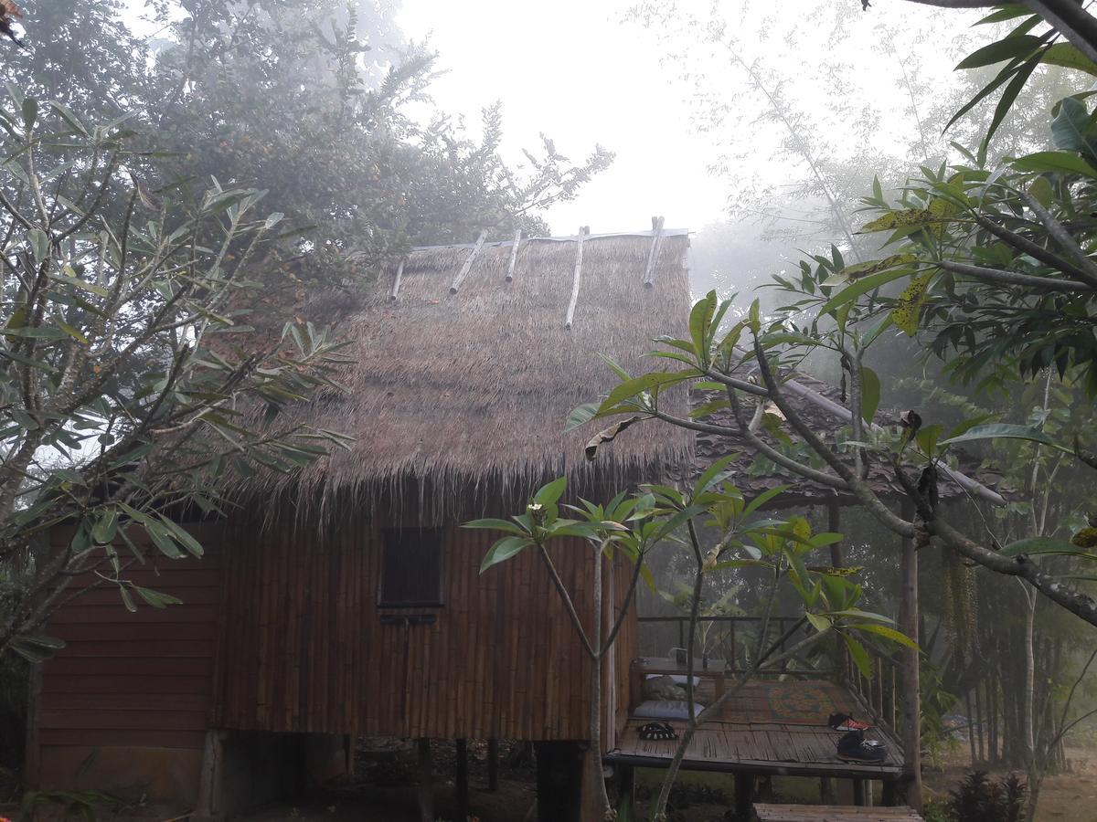 Nusha Homestay 拜县 外观 照片