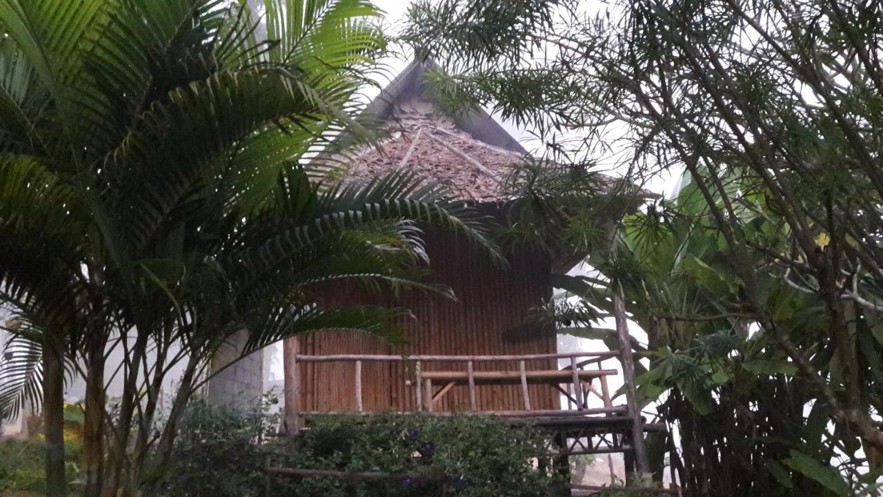 Nusha Homestay 拜县 外观 照片