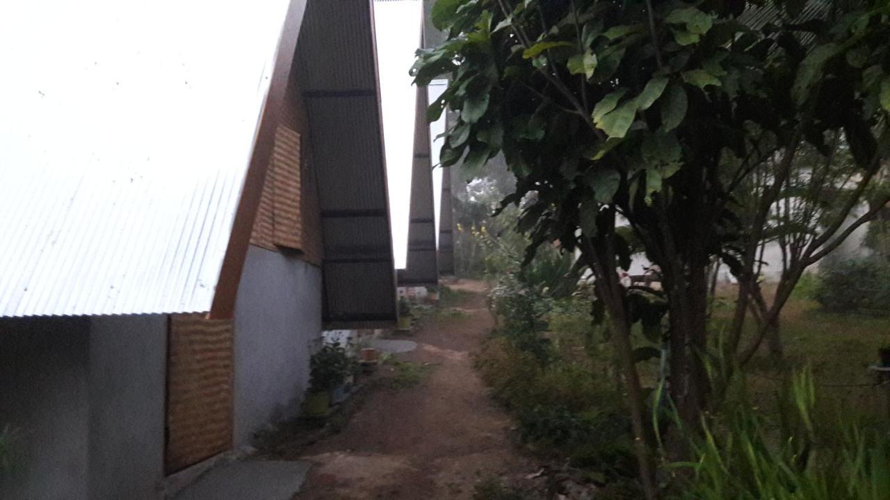 Nusha Homestay 拜县 外观 照片