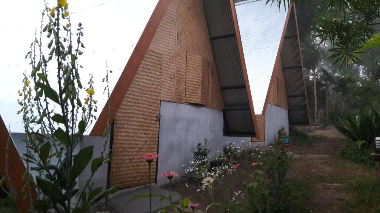 Nusha Homestay 拜县 外观 照片