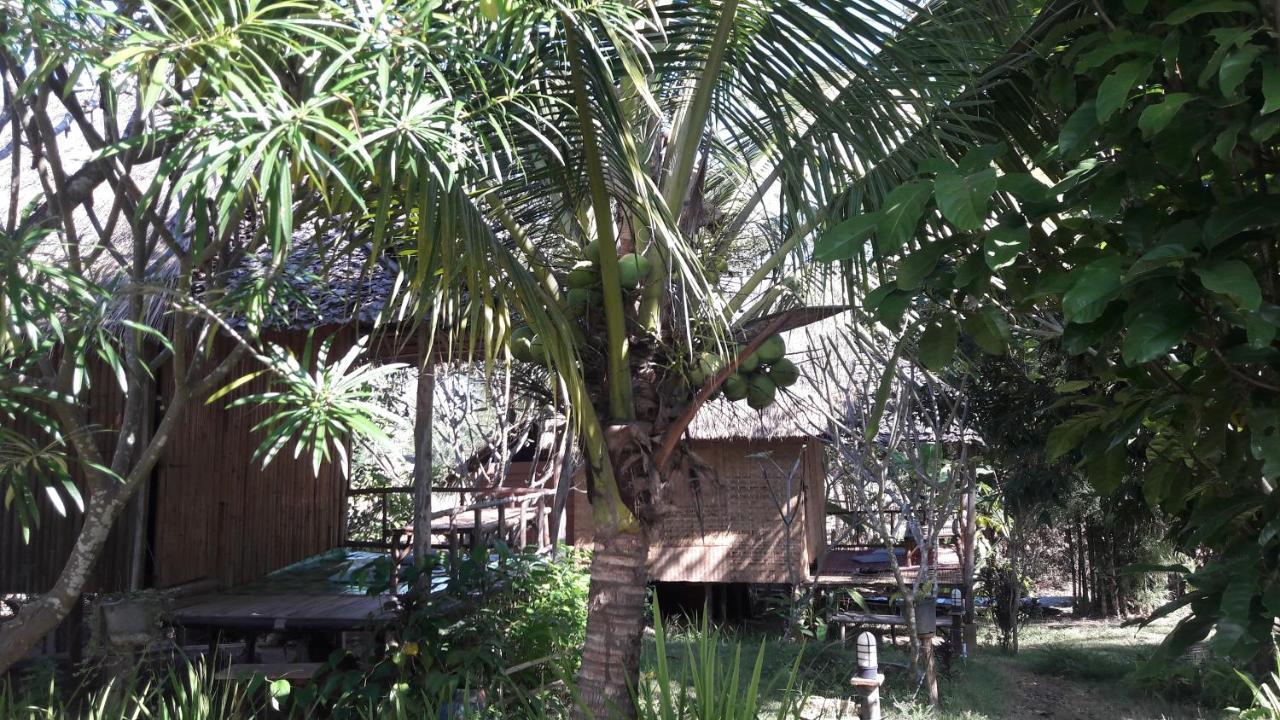 Nusha Homestay 拜县 外观 照片
