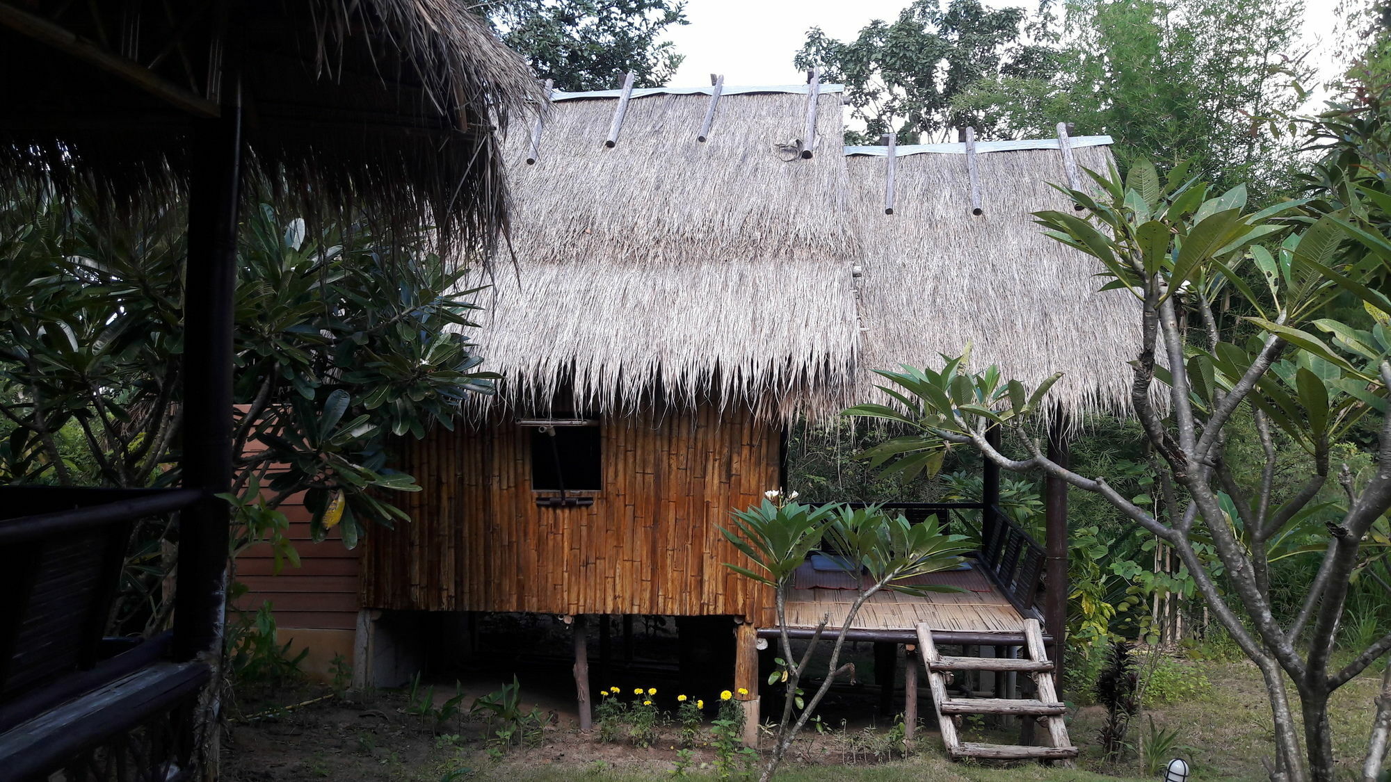 Nusha Homestay 拜县 外观 照片