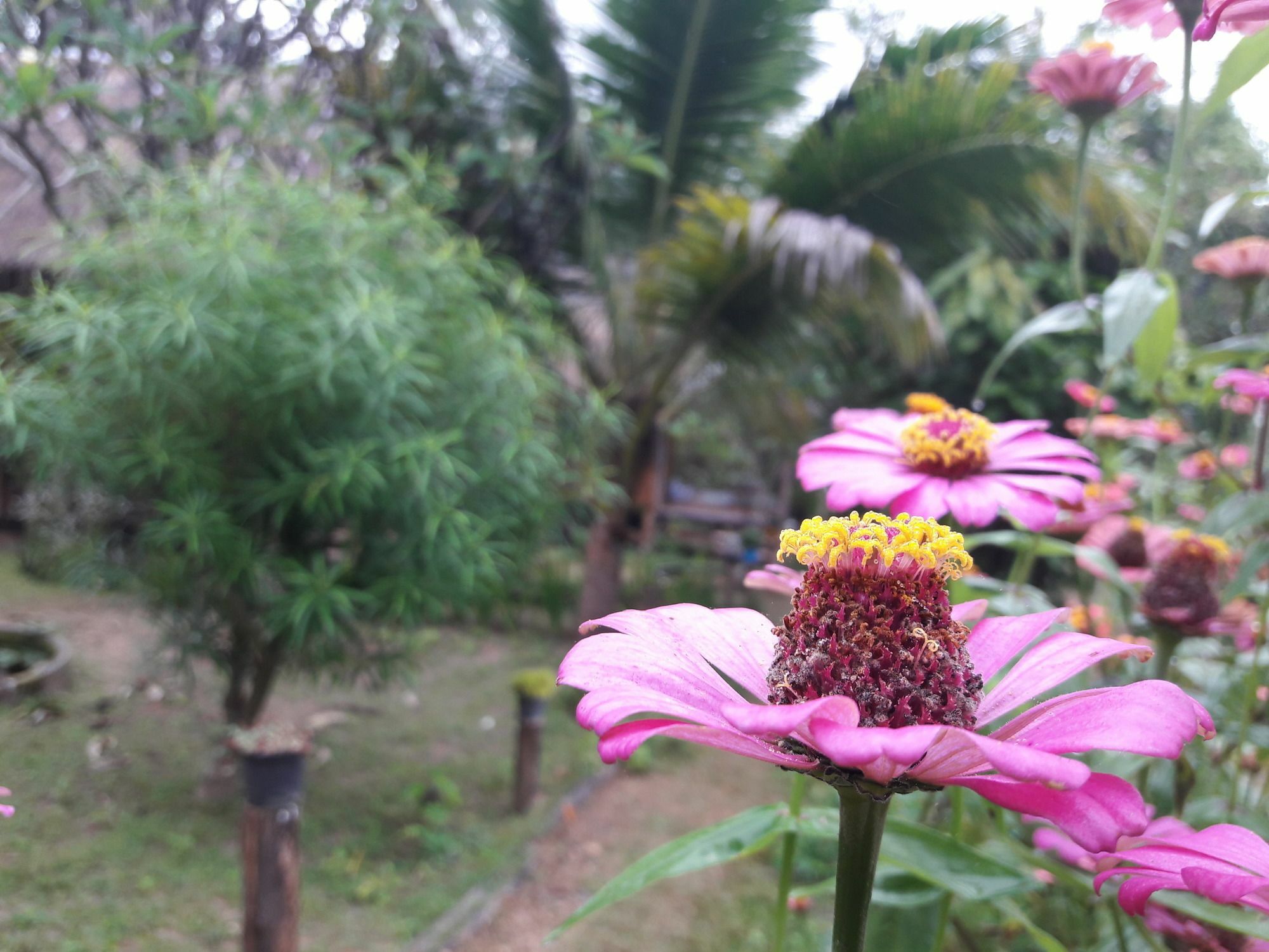 Nusha Homestay 拜县 外观 照片